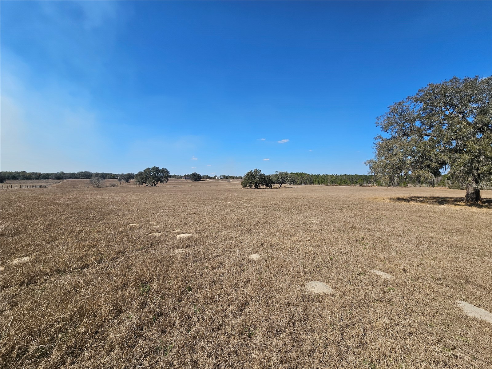 13308 Duck Lake Canal Road Dade City FL 33525 TB8475916 image57