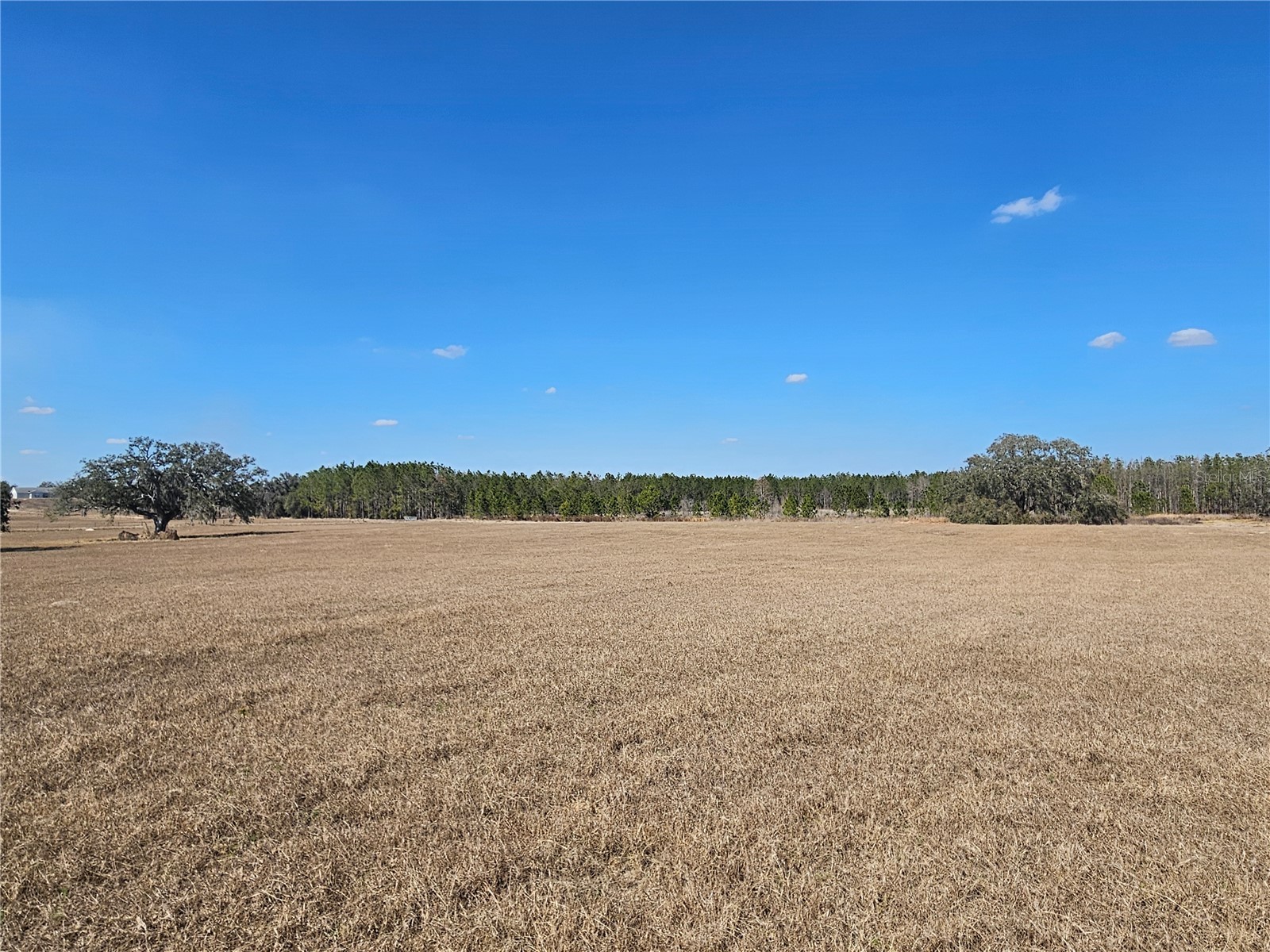 13308 Duck Lake Canal Road Dade City FL 33525 TB8475916 image58