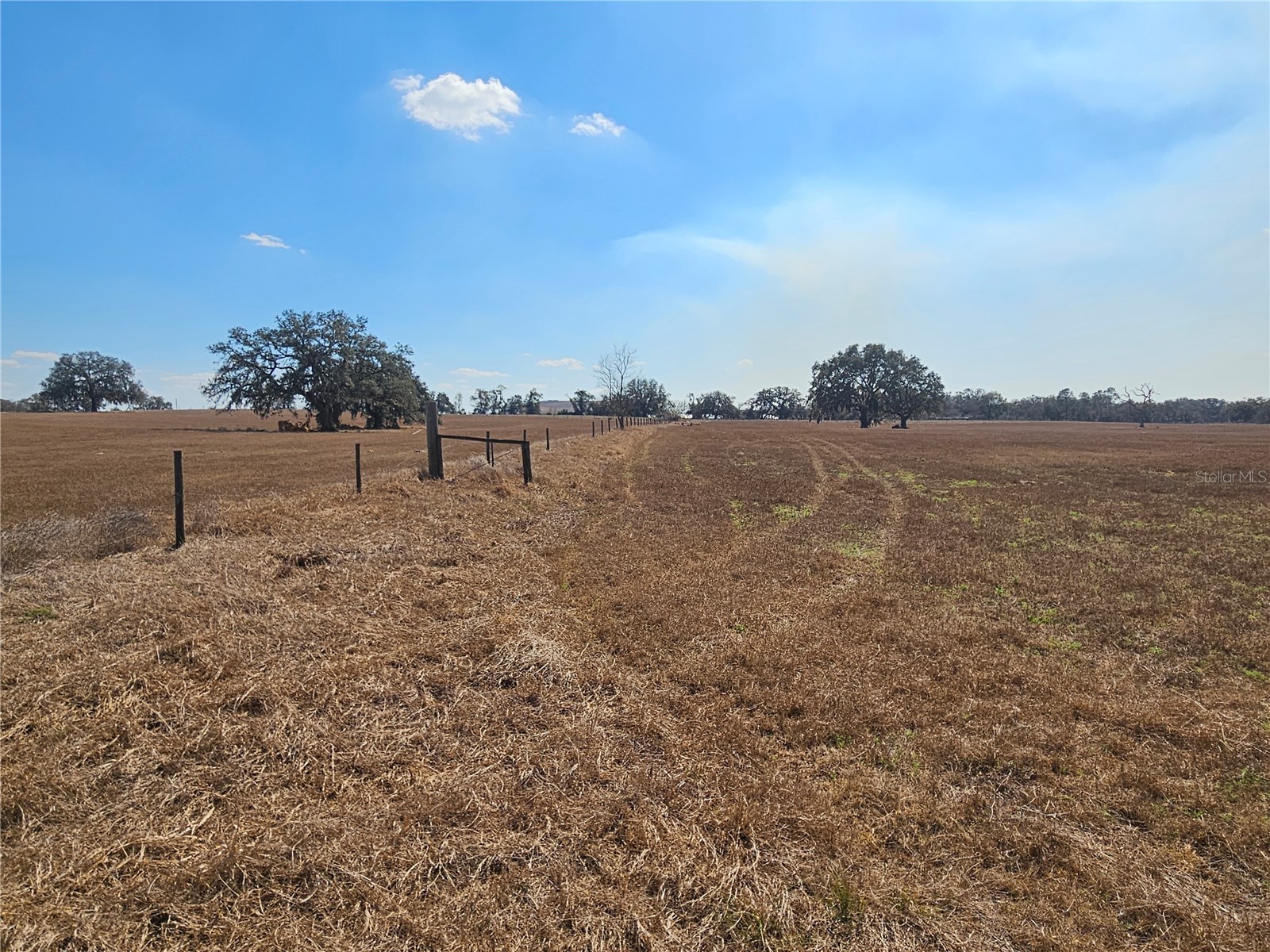 13308 Duck Lake Canal Road Dade City FL 33525 TB8475916 image61