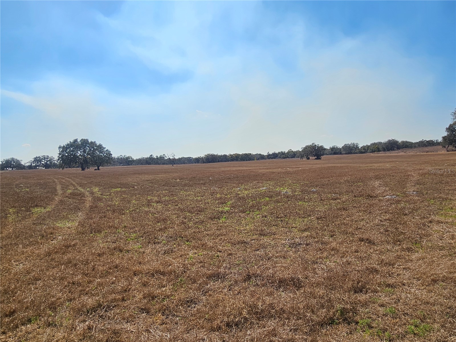 13308 Duck Lake Canal Road Dade City FL 33525 TB8475916 image62