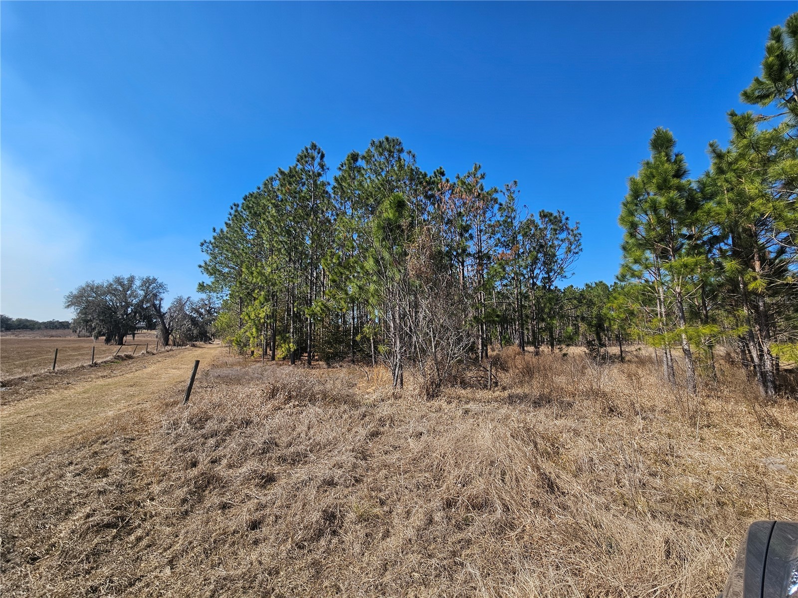 13308 Duck Lake Canal Road Dade City FL 33525 TB8475916 image63