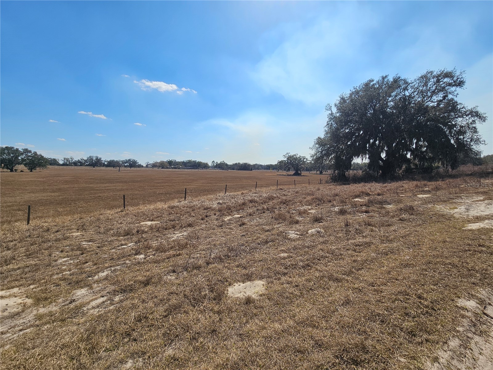 13308 Duck Lake Canal Road Dade City FL 33525 TB8475916 image64
