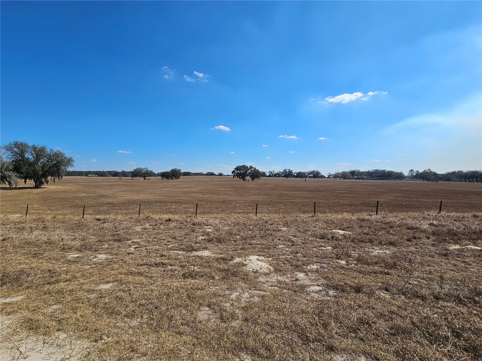 13308 Duck Lake Canal Road Dade City FL 33525 TB8475916 image65