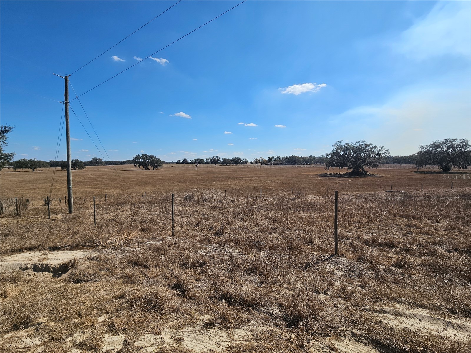 13308 Duck Lake Canal Road Dade City FL 33525 TB8475916 image66