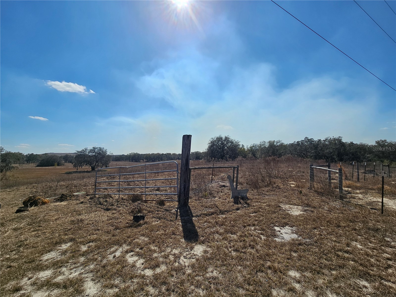 13308 Duck Lake Canal Road Dade City FL 33525 TB8475916 image67