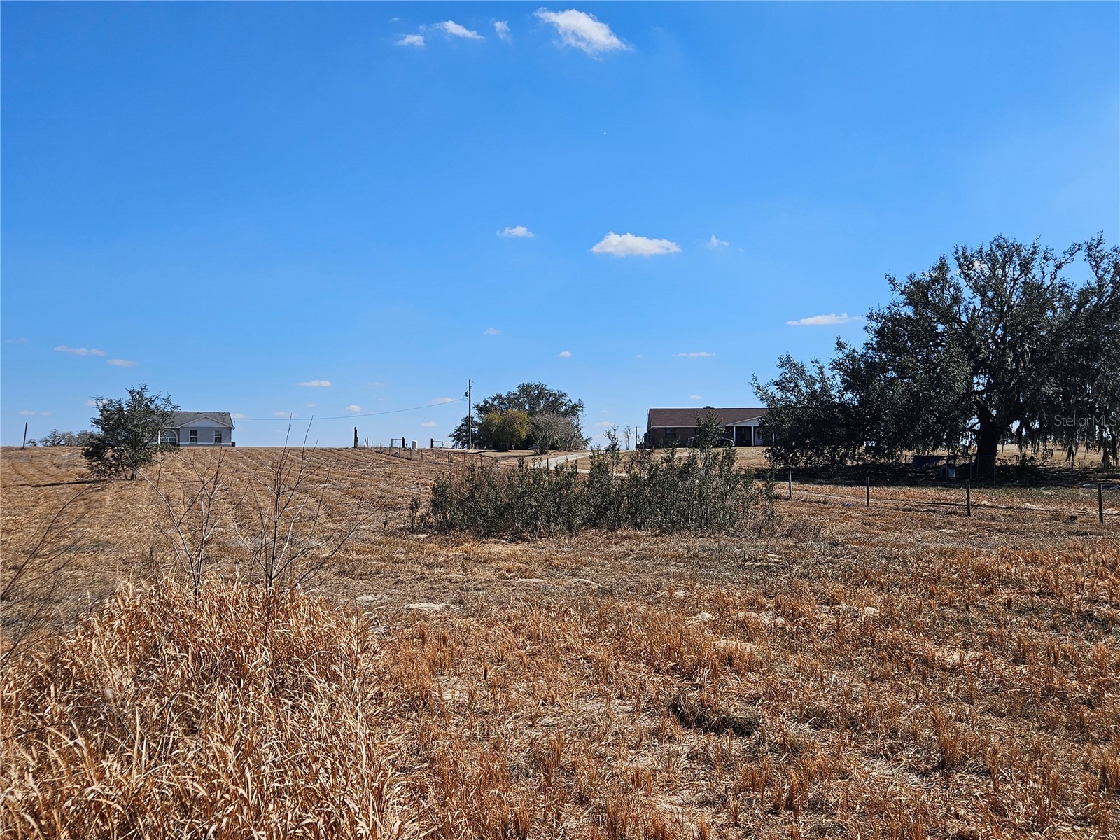 13308 Duck Lake Canal Road Dade City FL 33525 TB8475916 image69
