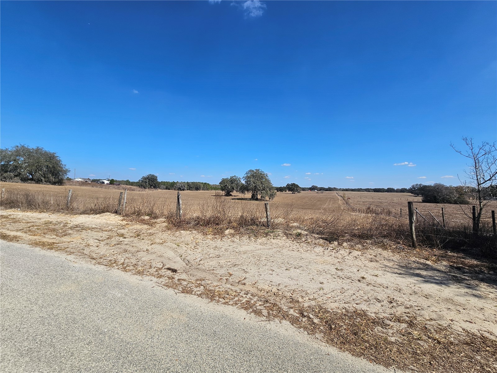 13308 Duck Lake Canal Road Dade City FL 33525 TB8475916 image71