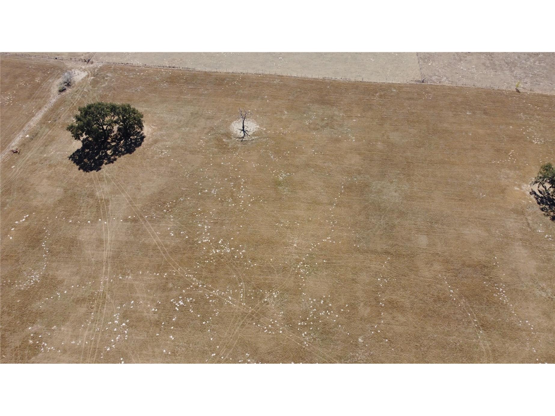 13308 Duck Lake Canal Road Dade City FL 33525 TB8475916 image75