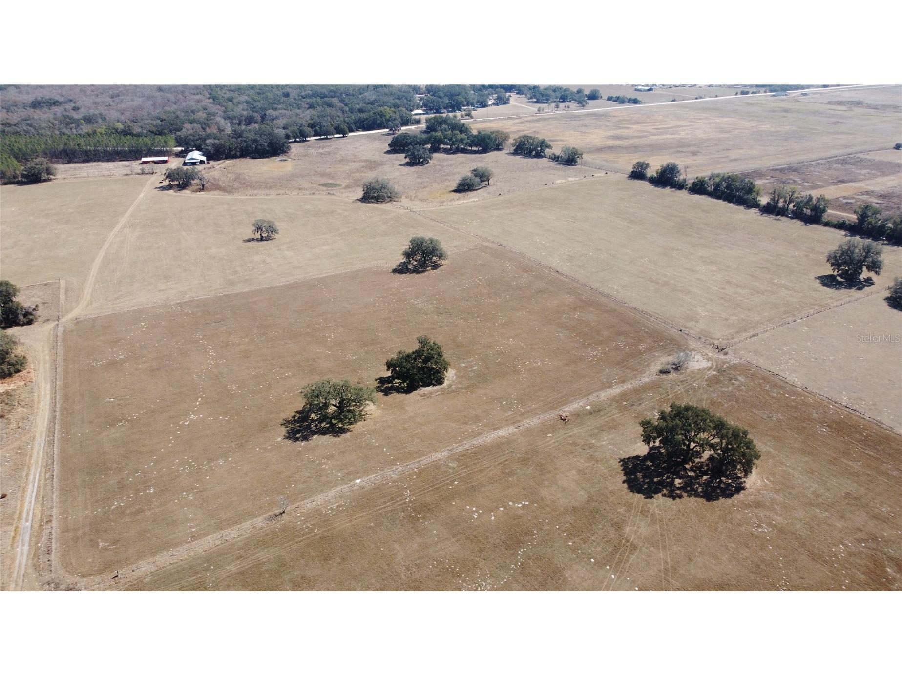 13308 Duck Lake Canal Road Dade City FL 33525 TB8475916 image76