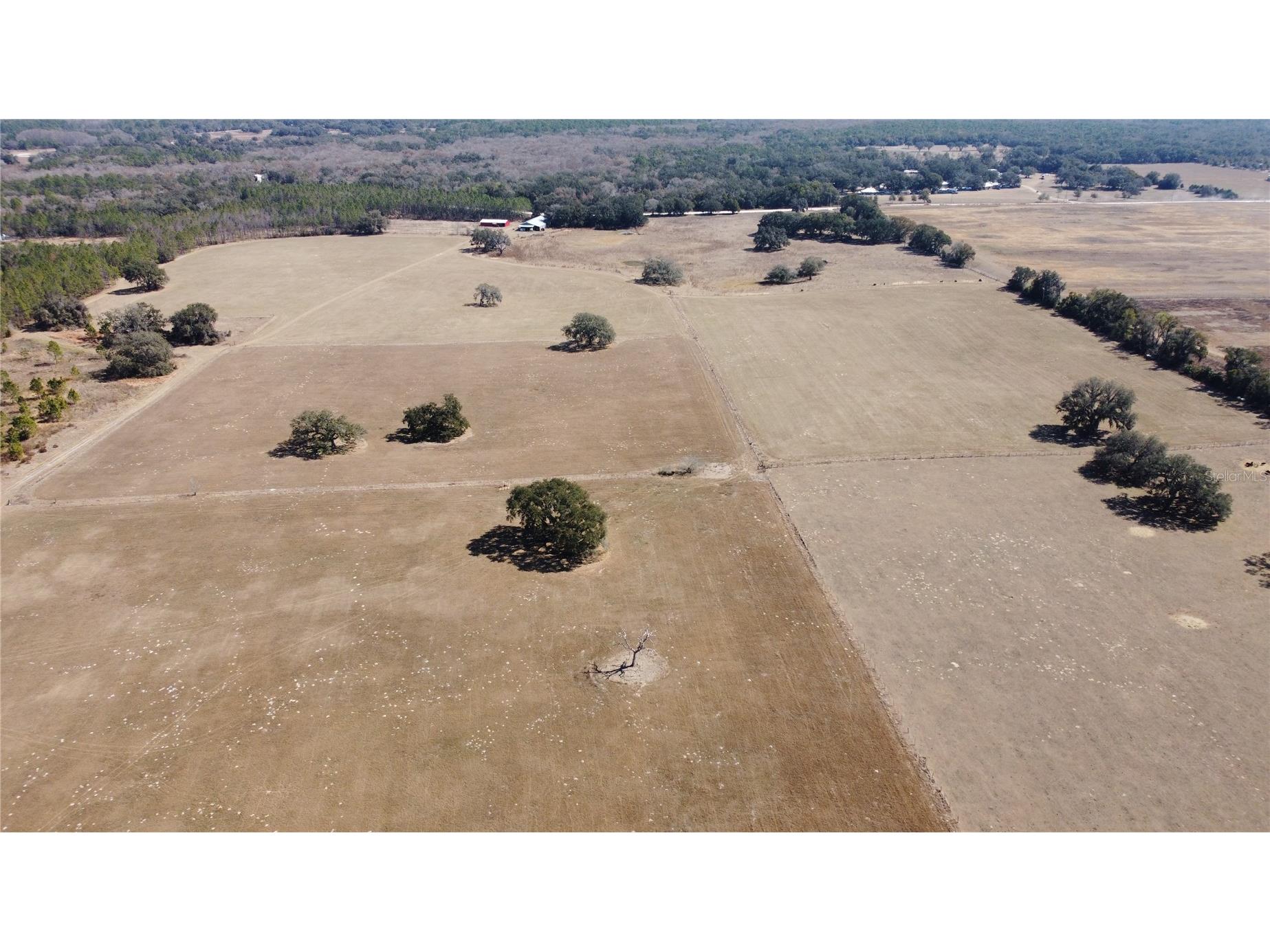 13308 Duck Lake Canal Road Dade City FL 33525 TB8475916 image79