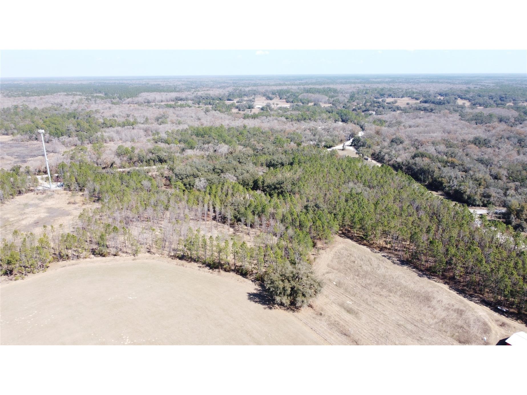 13308 Duck Lake Canal Road Dade City FL 33525 TB8475916 image83