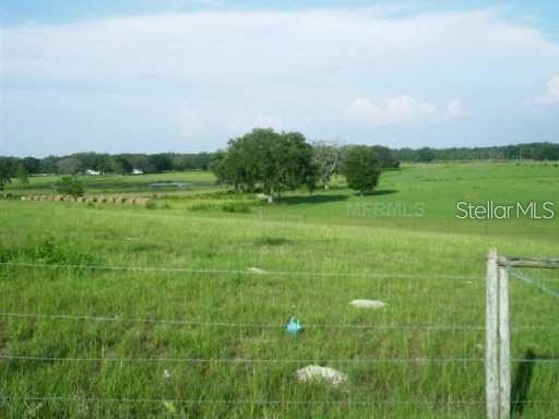 13308 Duck Lake Canal Road Dade City FL 33525 TB8475916 image89