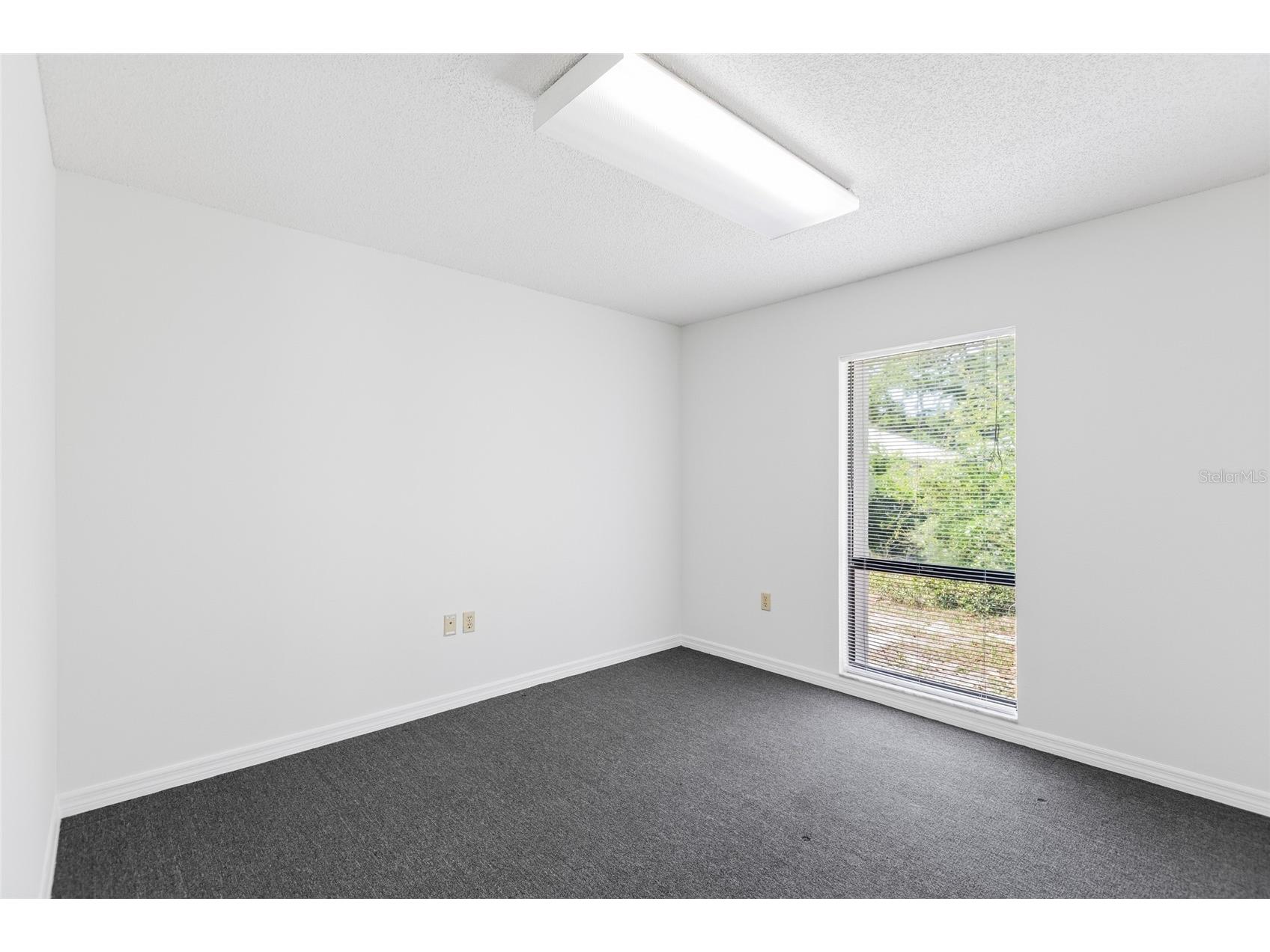 13308 Winding Oak Court Tampa FL 33612 TB8506428 image16