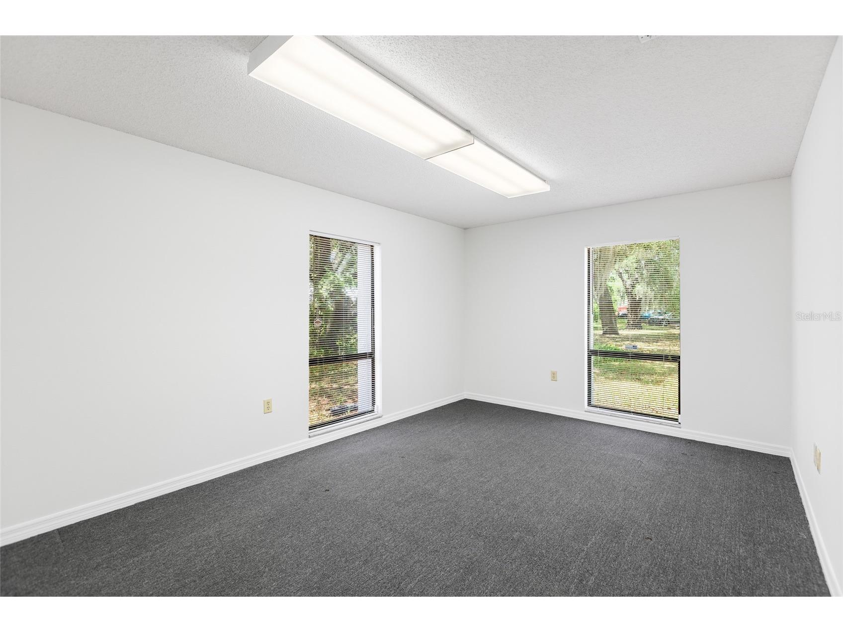 13308 Winding Oak Court Tampa FL 33612 TB8506428 image18