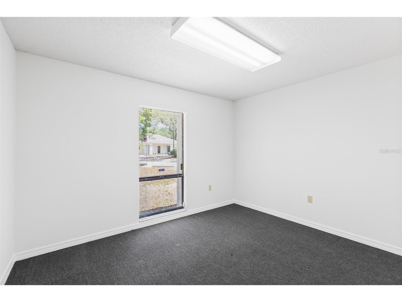 13308 Winding Oak Court Tampa FL 33612 TB8506428 image20