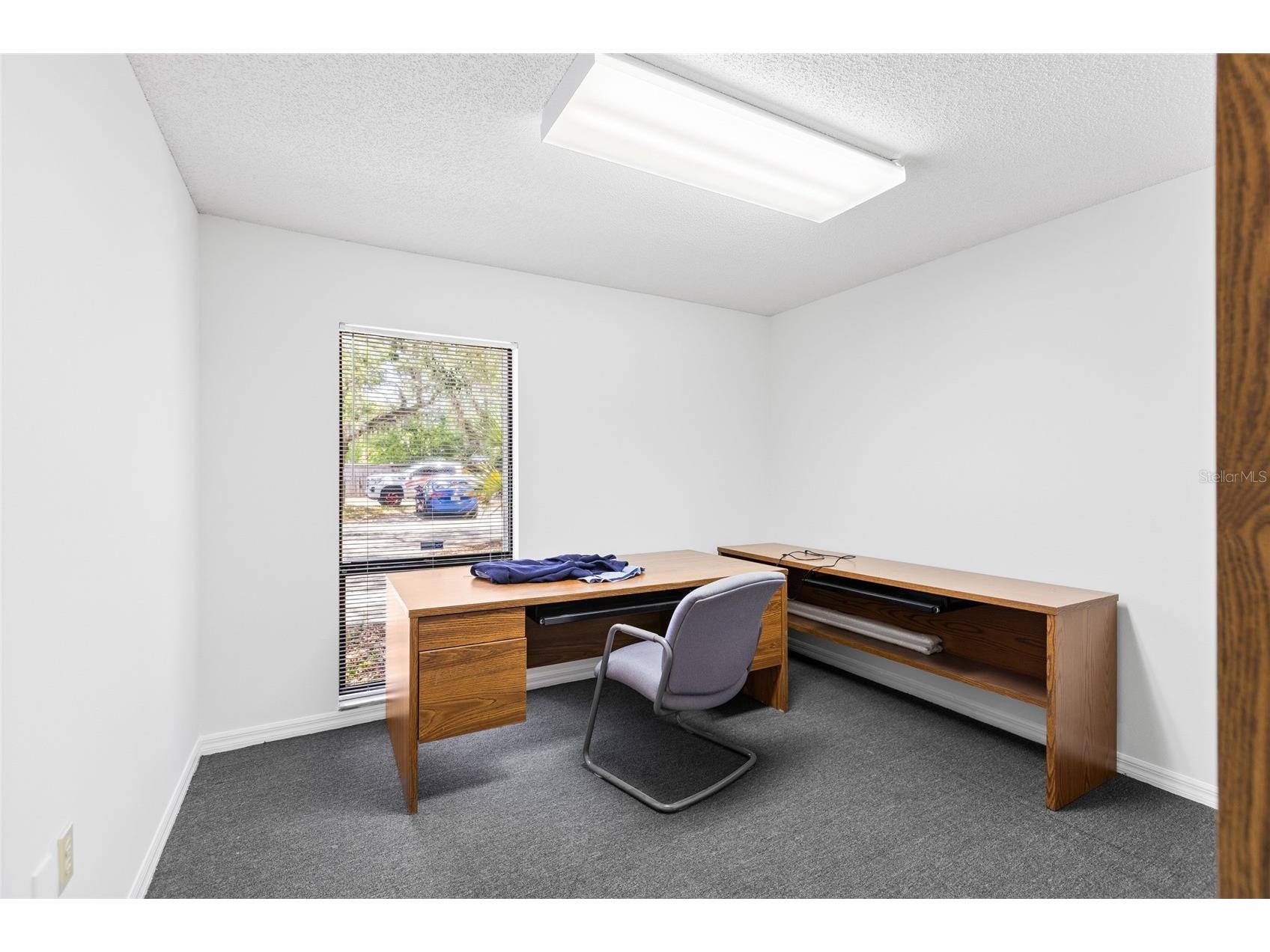 13308 Winding Oak Court Tampa FL 33612 TB8506428 image27