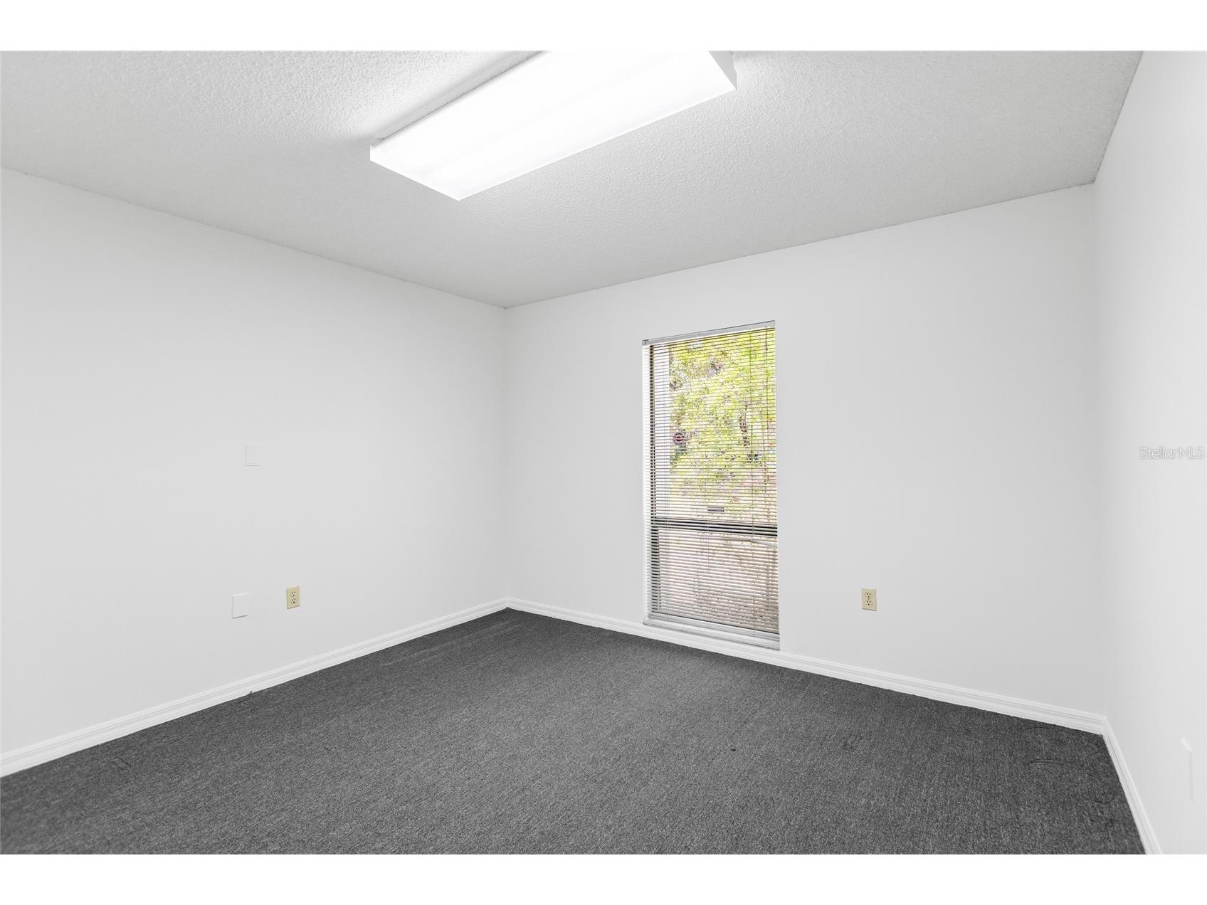 13308 Winding Oak Court Tampa FL 33612 TB8506428 image30