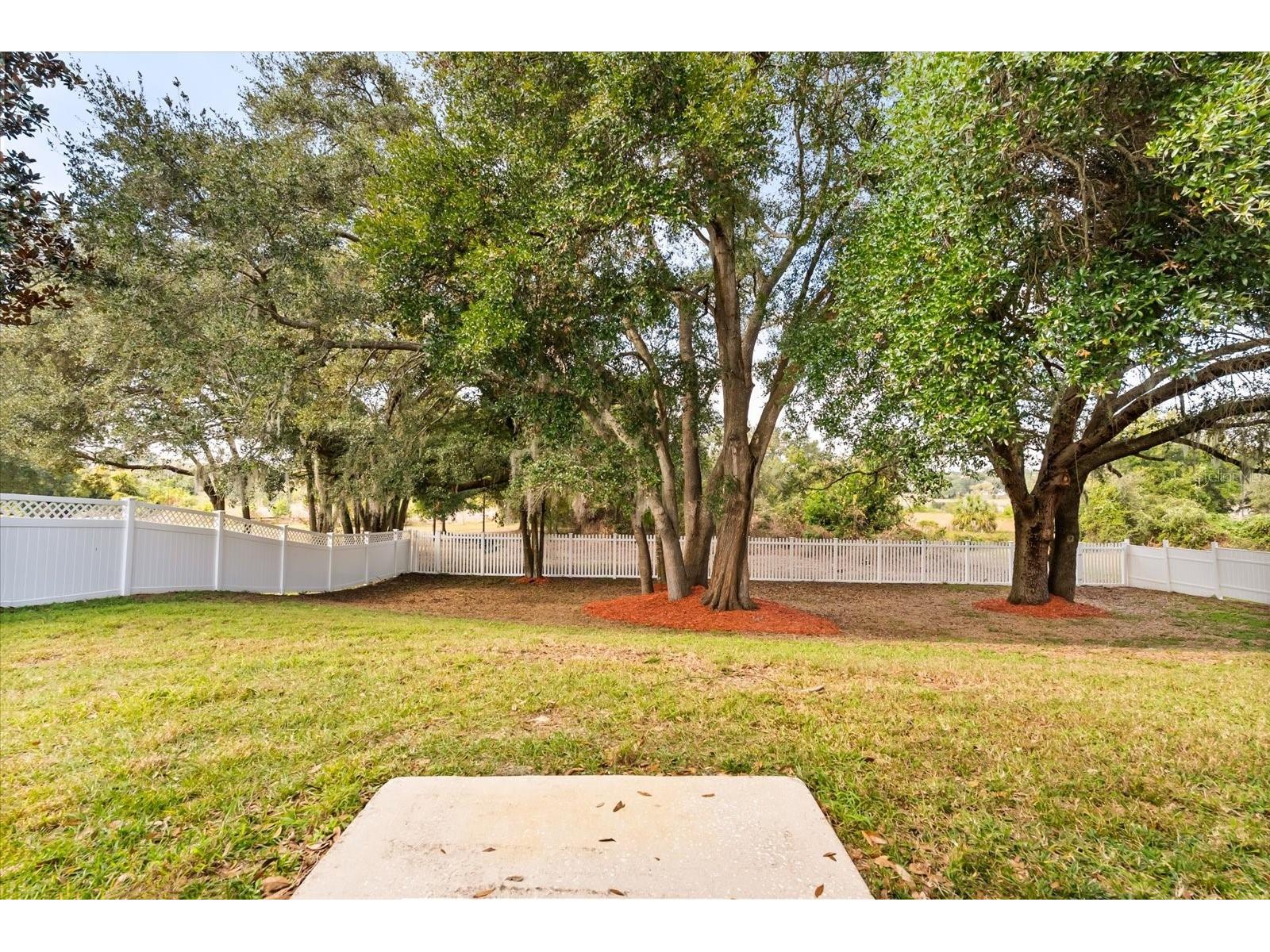 1331 Briarhaven Lane Clermont FL 34711 - JACK'S LAKE G5106386 image38