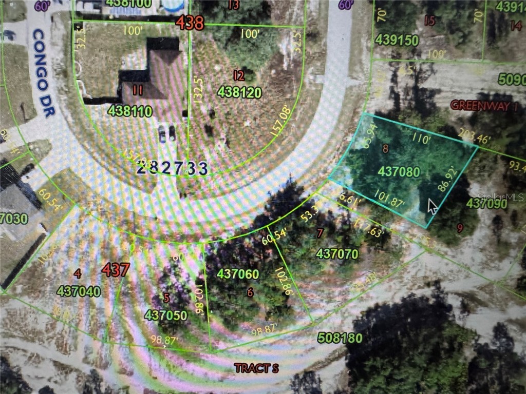 1331 Congo Drive Poinciana FL 34759 P4935167 image3