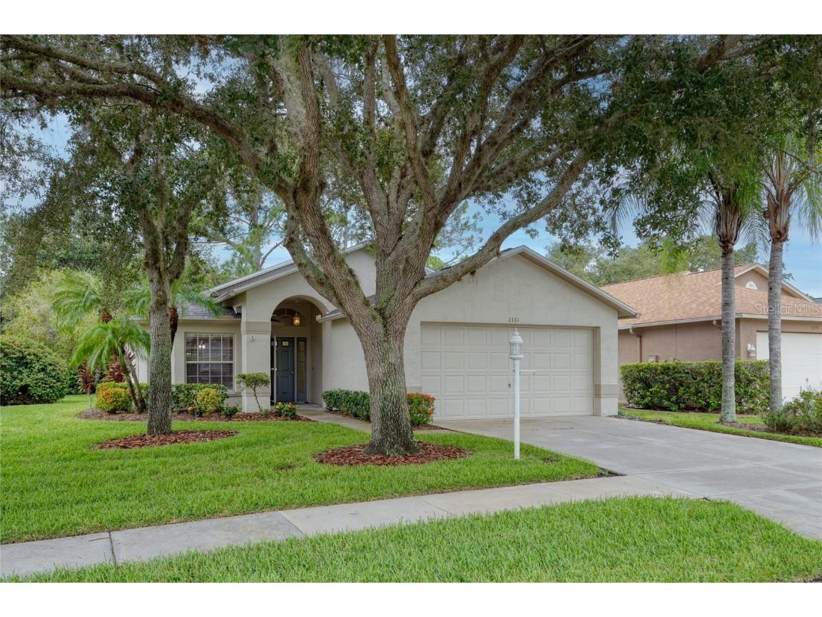 1331 Hickory Moss Place Trinity FL 34655 TB8302687 image1
