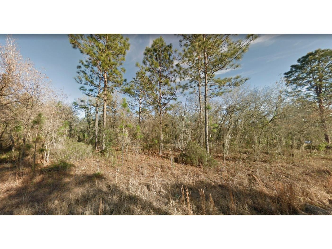 1331 NE 122nd Avenue Williston FL 32696 O6107476 image1