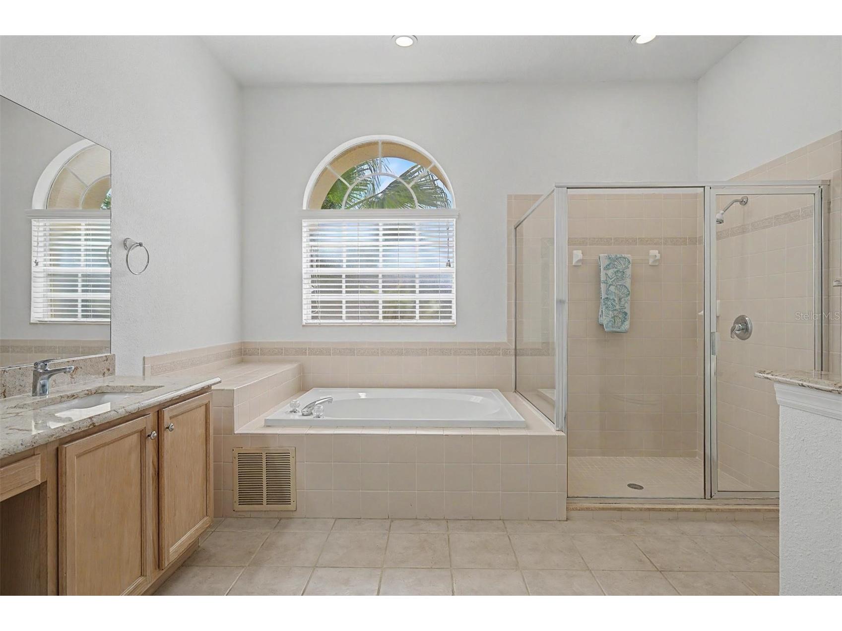 1331 Trimaran Place Trinity FL 34655 W7886304 image21