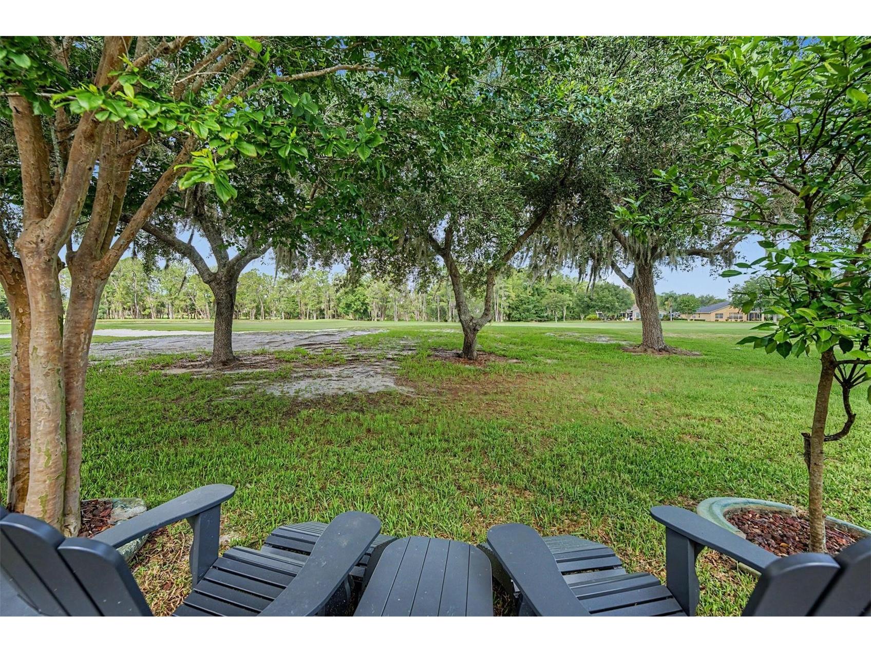 1331 Trimaran Place Trinity FL 34655 W7886304 image28