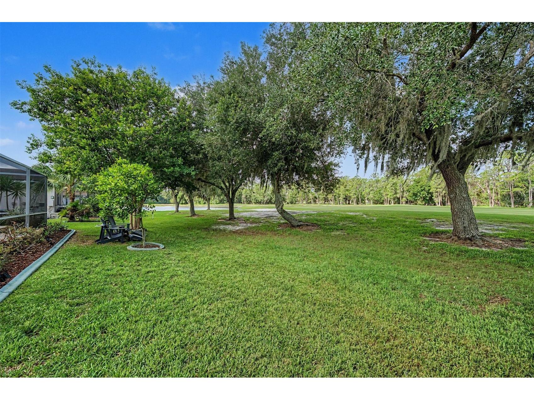 1331 Trimaran Place Trinity FL 34655 W7886304 image29
