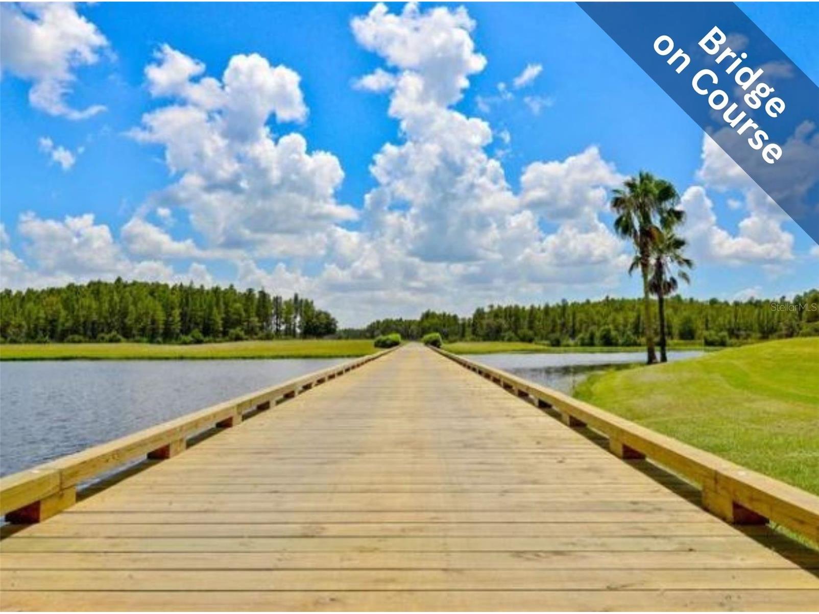 1331 Trimaran Place Trinity FL 34655 W7886304 image38