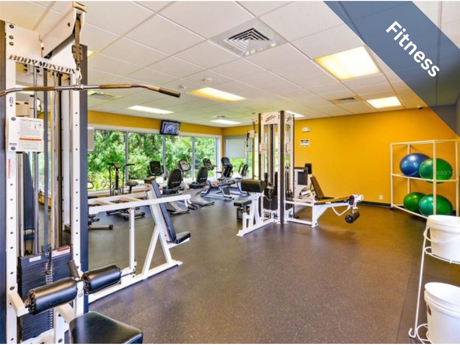 1331 Trimaran Place Trinity FL 34655 W7886304 image42