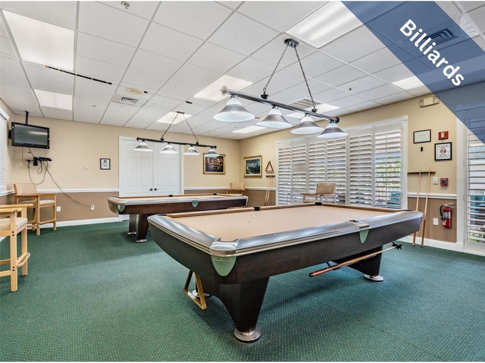 1331 Trimaran Place Trinity FL 34655 W7886304 image43