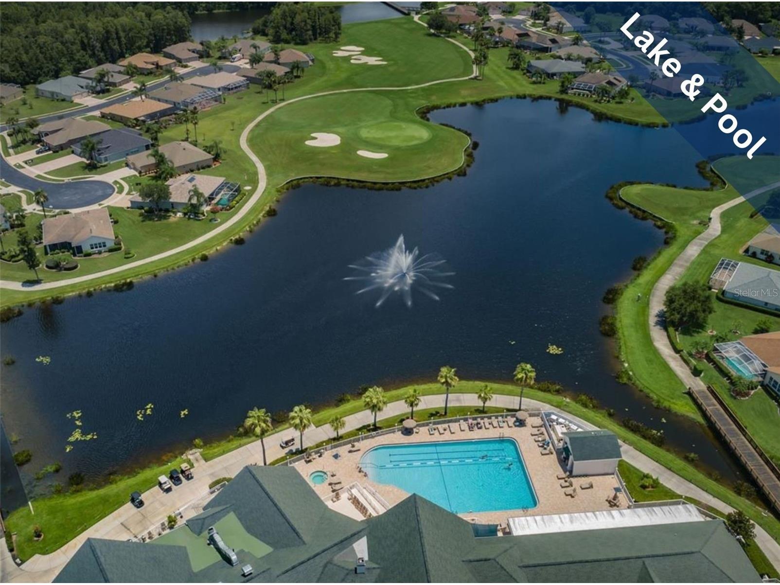 1331 Trimaran Place Trinity FL 34655 W7886304 image53