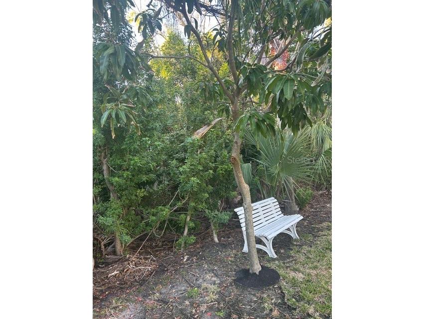 13311 72nd Terrace N Seminole FL 33776 TB8476814 image3