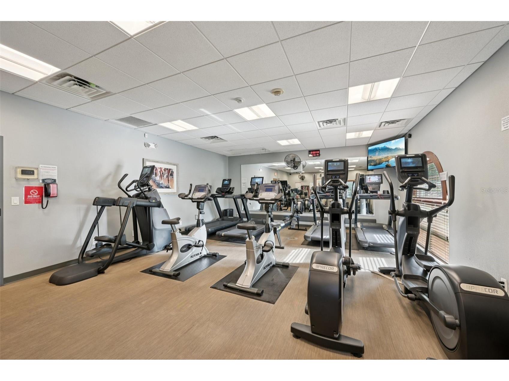 13310 Beechberry Drive Riverview FL 33579 TB8494310 image42