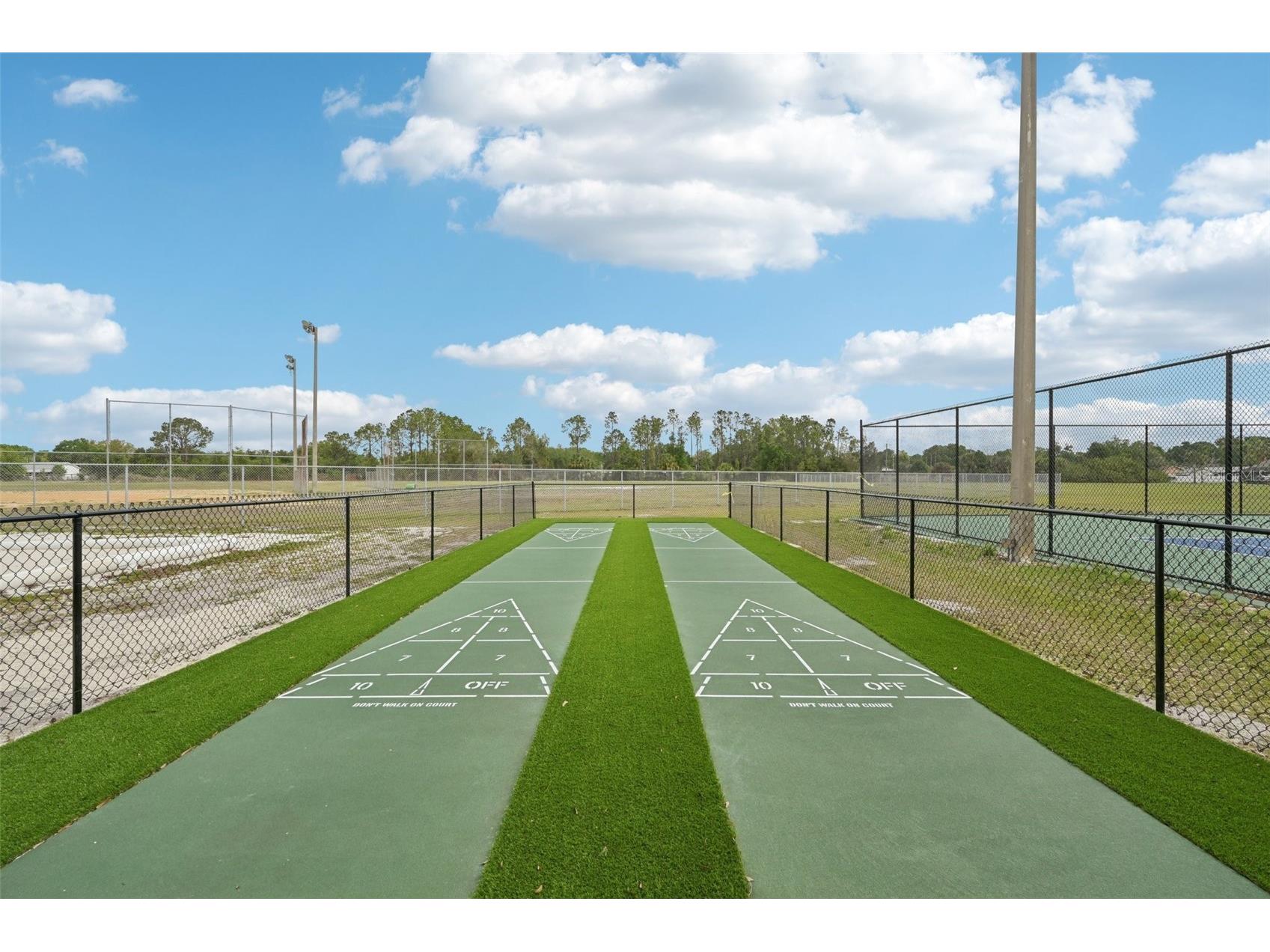 13310 Beechberry Drive Riverview FL 33579 TB8494310 image48