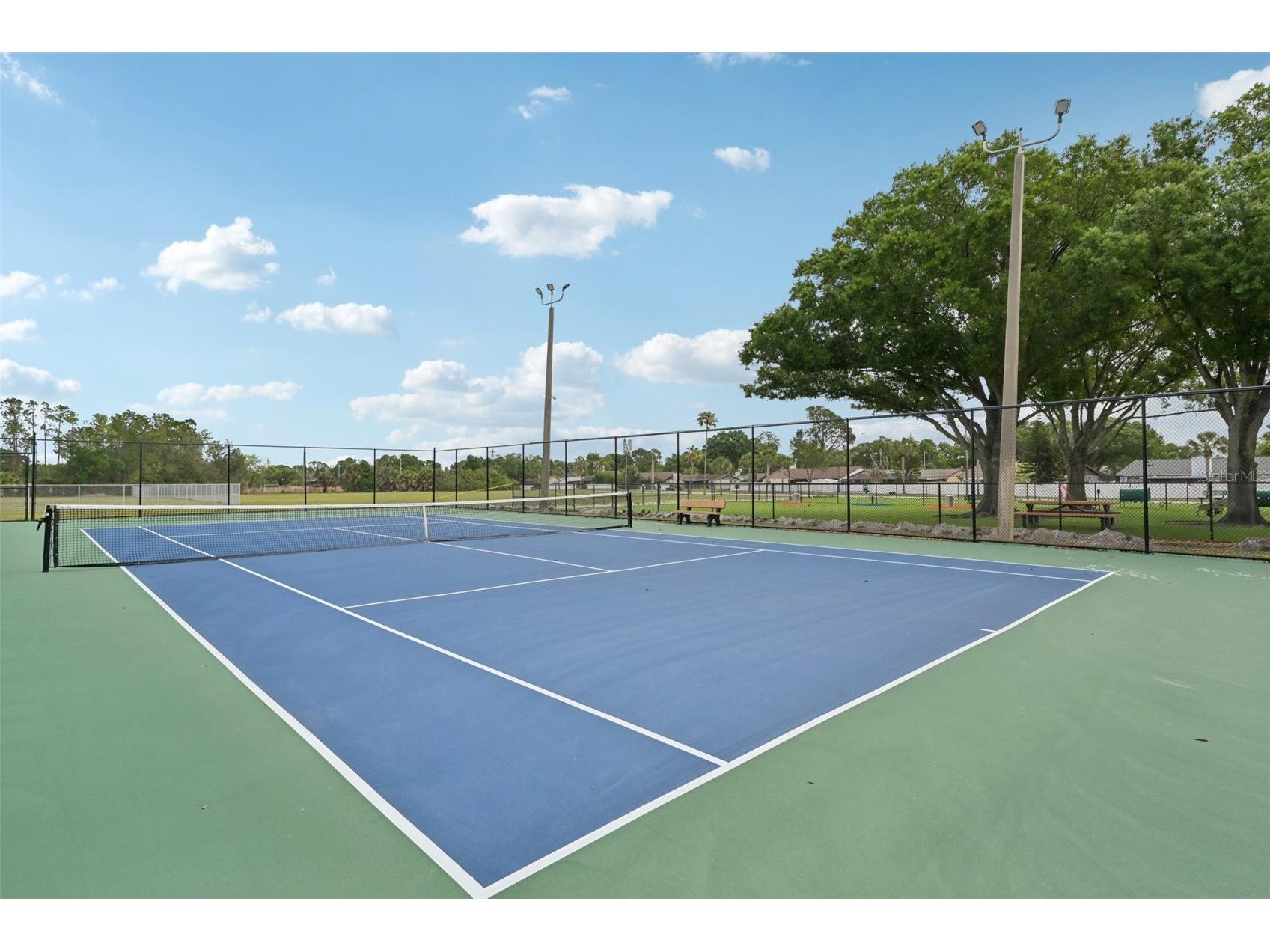 13310 Beechberry Drive Riverview FL 33579 TB8494310 image50