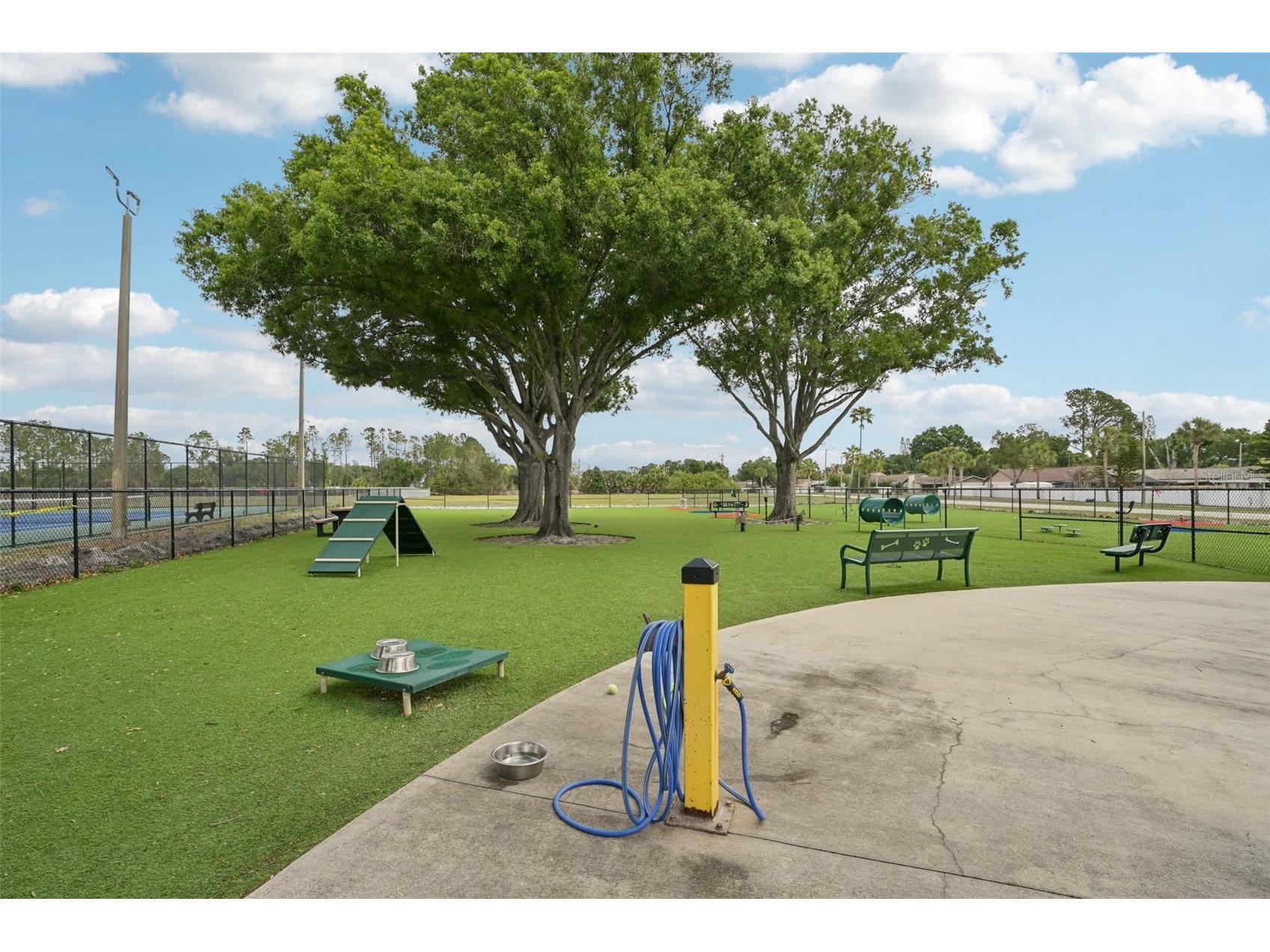 13310 Beechberry Drive Riverview FL 33579 TB8494310 image51