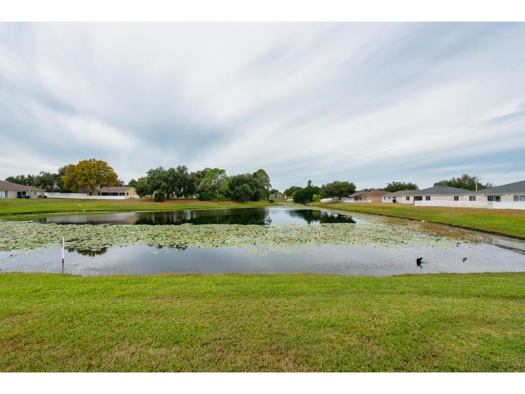 13313 Ashbark Court Riverview FL 33579 TB8446959 image28