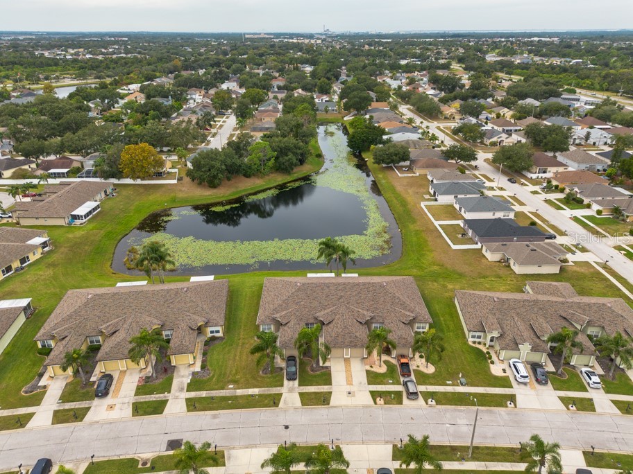 13313 Ashbark Court Riverview FL 33579 TB8446959 image33