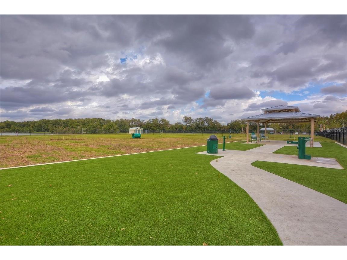 13313 Golf Crest Circle Tampa FL 33618 TB8420690 image70