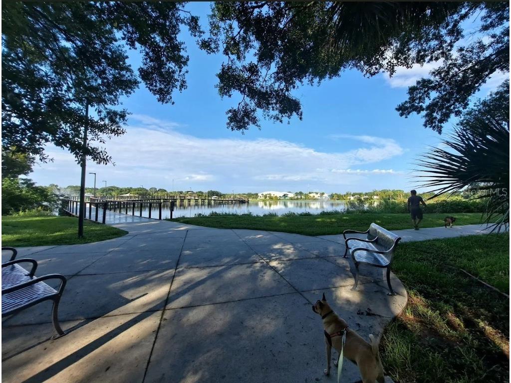 13313 Golf Crest Circle Tampa FL 33618 TB8420690 image72