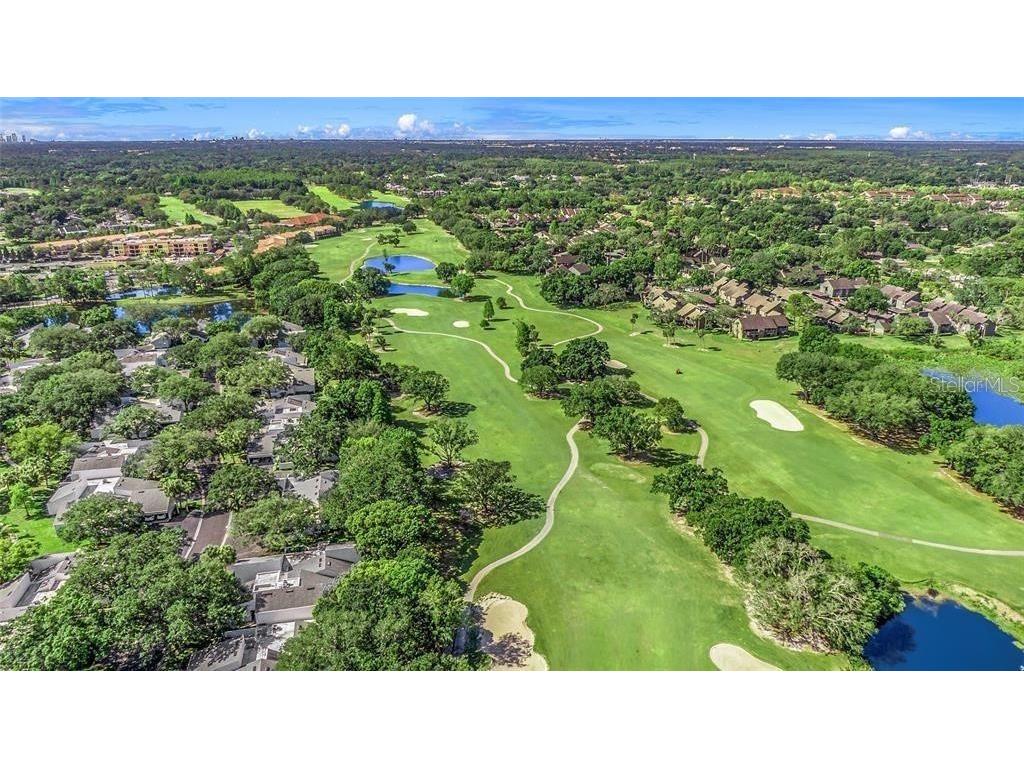 13313 Golf Crest Circle Tampa FL 33618 TB8420690 image78