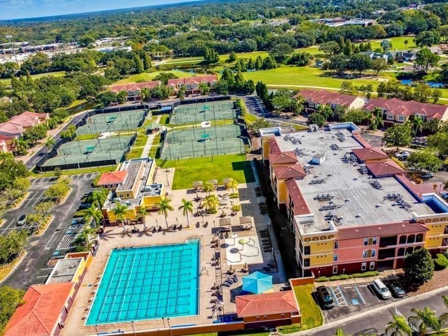 13313 Golf Crest Circle Tampa FL 33618 TB8420690 image79