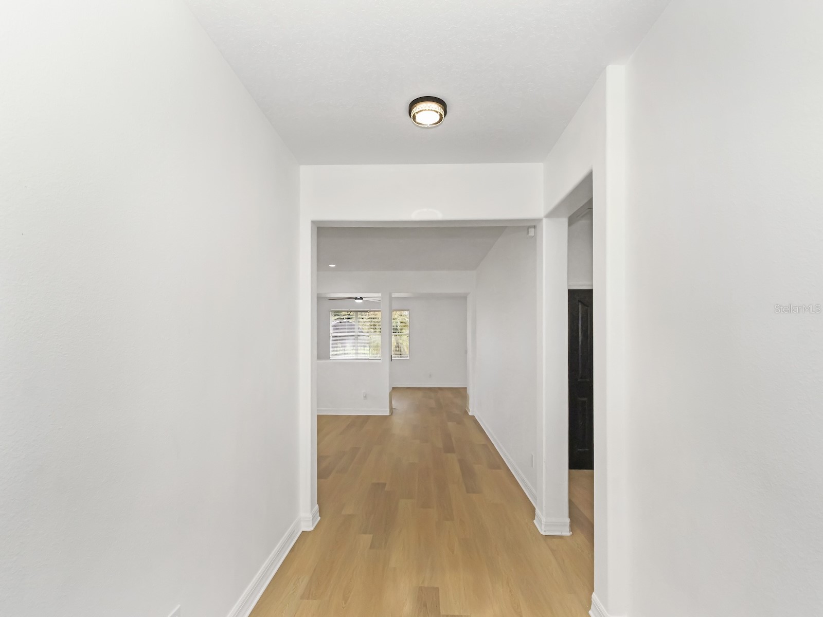 13313 Halkyn Point Orlando FL 32832 O6382778 image23