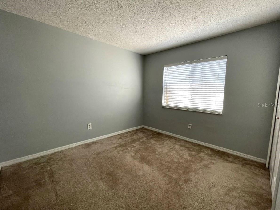 13314 Prestwick Drive Riverview FL 33579 TB8515229 image18