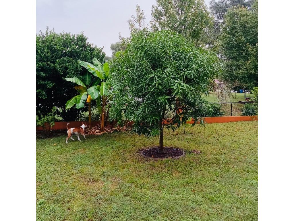 13315 Daffodil Way Astatula FL 34705 G5102286 image24