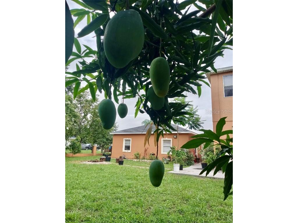 13315 Daffodil Way Astatula FL 34705 G5102286 image26