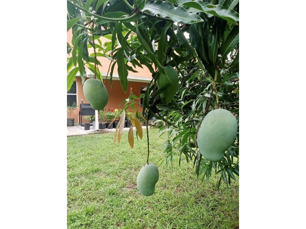 13315 Daffodil Way Astatula FL 34705 G5102286 image27