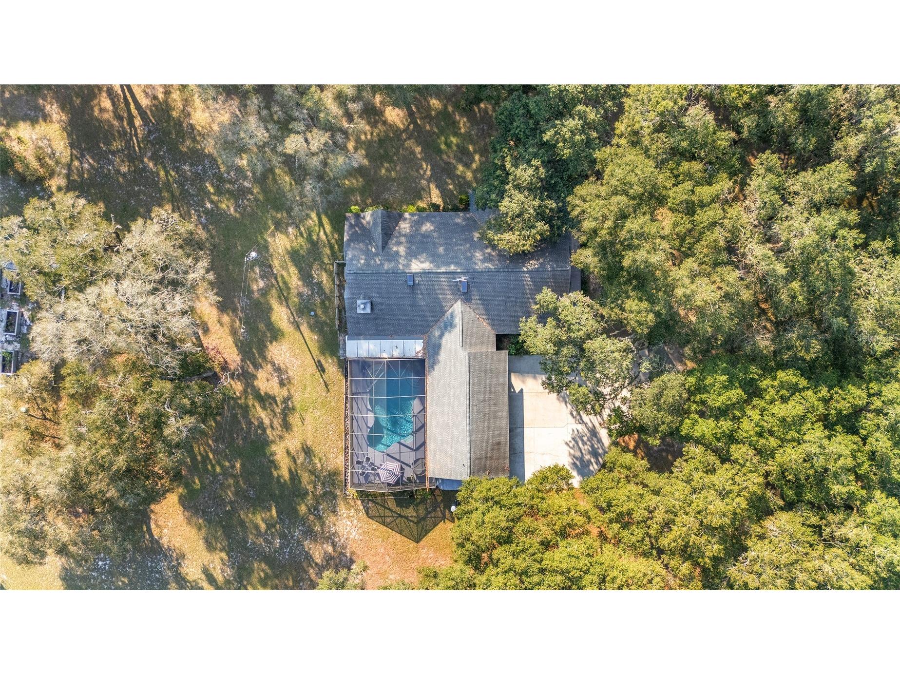 13315 NE 47th Avenue Anthony FL 32617 OM725726 image6