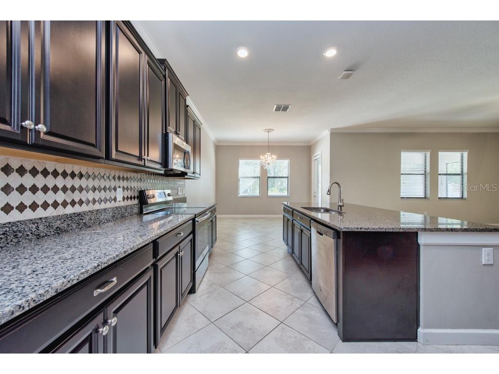 13315 Orca Sound Drive Riverview FL 33579 TB8427789 image10